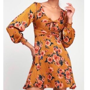 NWT Free People Morning Light Bronze Neutral Dress Size 2